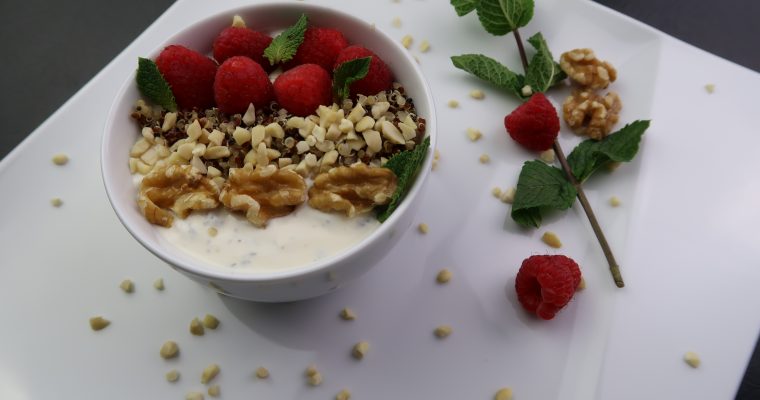 Joghurt Bowl – frischer, sommerlicher Nachtisch
